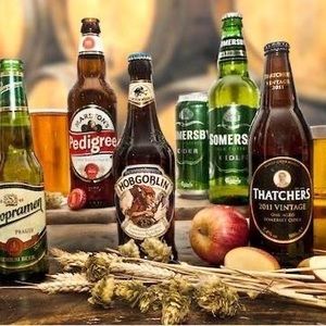 Meet your Posher, Guy